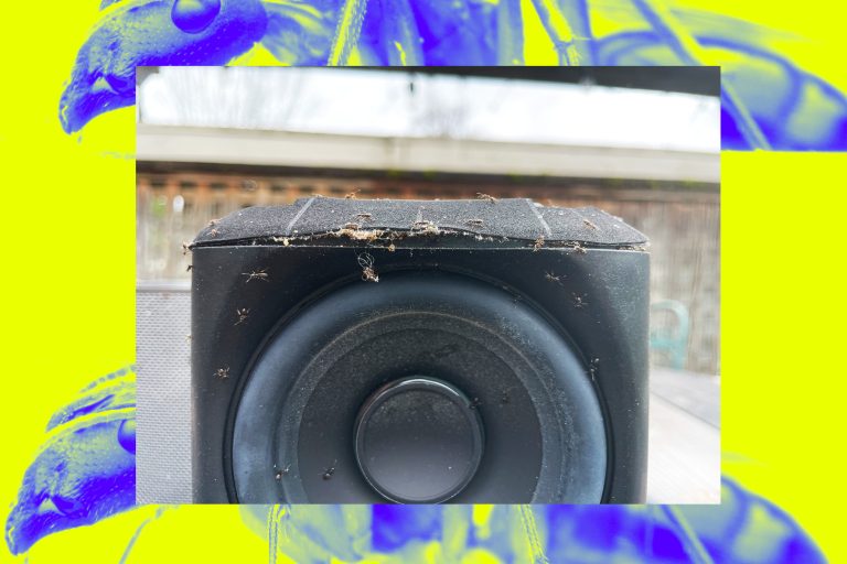 A buggy Sonos mystery