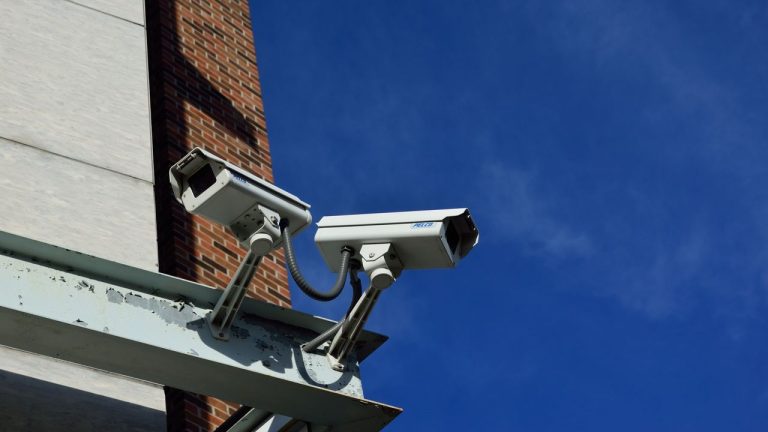 No wonder it got hit – report claims password for the Louvre’s video surveillance system was…“LOUVRE”