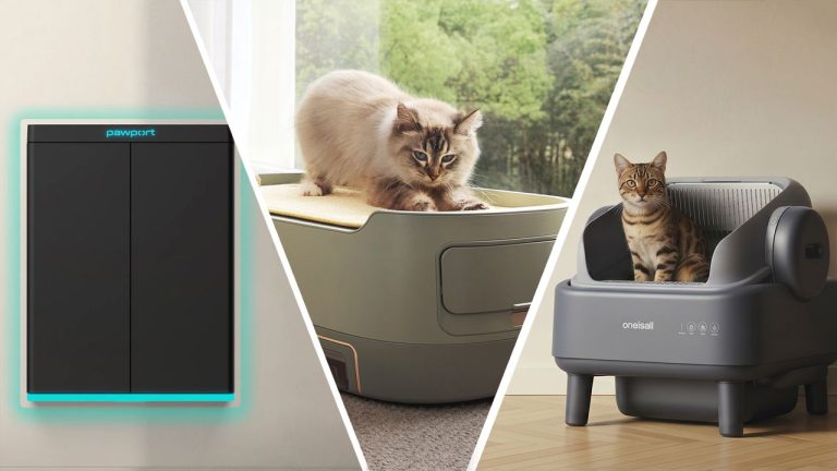 I delved into the wild world of pet tech to find the 9 best cat-care gadgets — including a feeder with facial recognition, and a self-cleaning litter box with a sealed ‘poop dungeon’