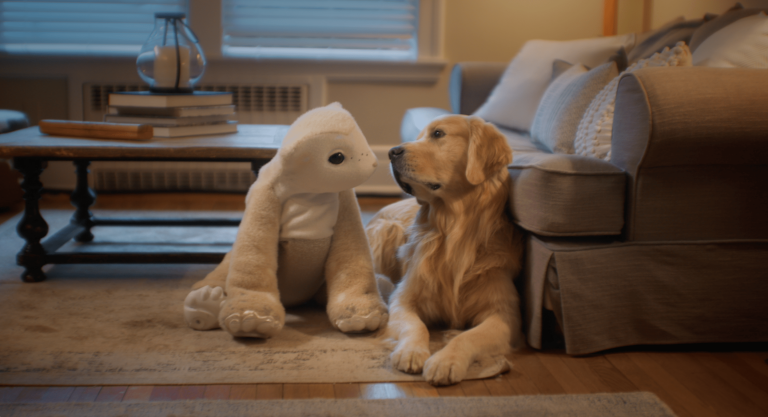 The creator of Roomba is back with a furry robot companion