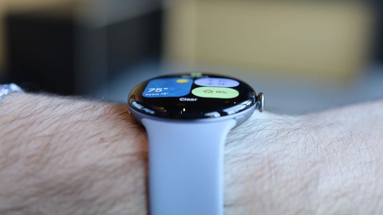 The Google Pixel Watch 5 has reportedly leaked in a bizarre scuba diving discovery, but the incident is more than a bit fishy